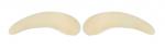 Eyebrow Covers #1 (pair)